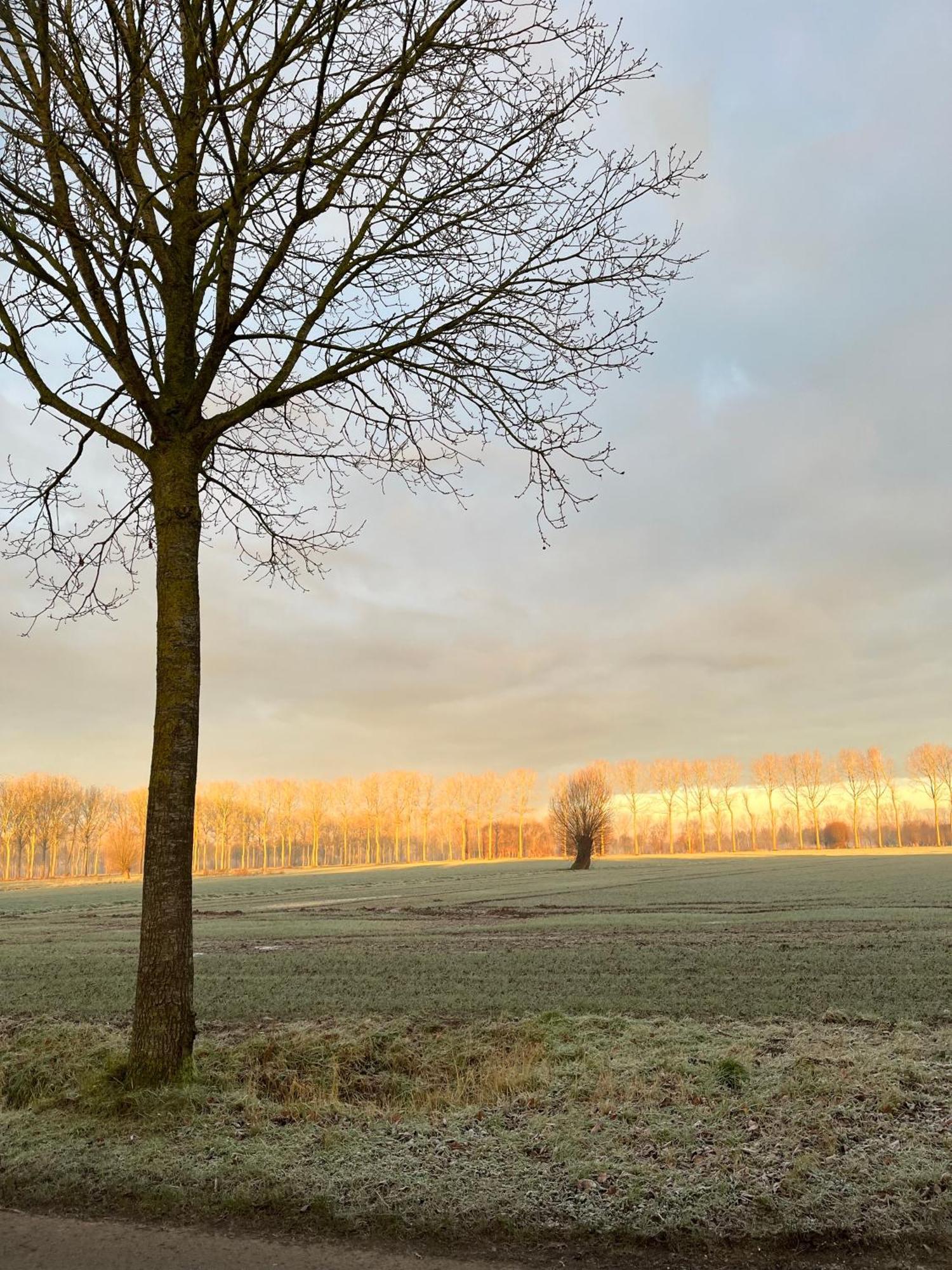 Bed and Breakfast De Weide Wereld à Beernem Extérieur photo
